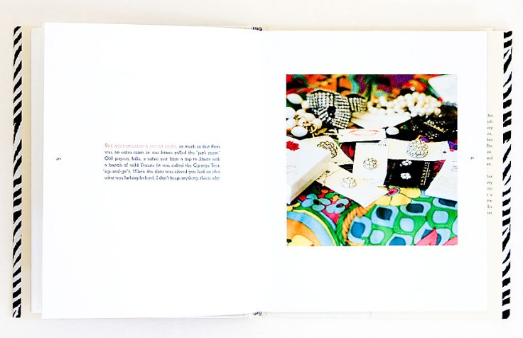 Jeannette_Montgomery_Barron-My_Mothers_Clothes_2