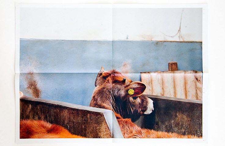 Martin_Toft–Atlantus_3