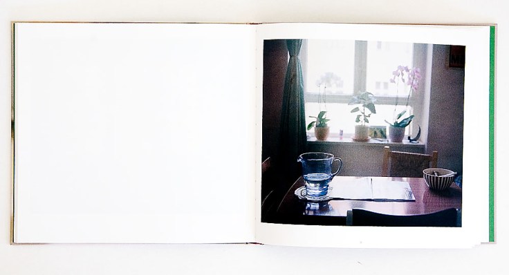 Rachael_Jablo-My_Days_of_Losing_Words_1