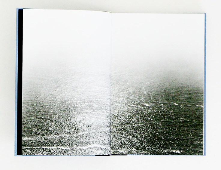 Lukas_Felzmann-Gull-Juju_1