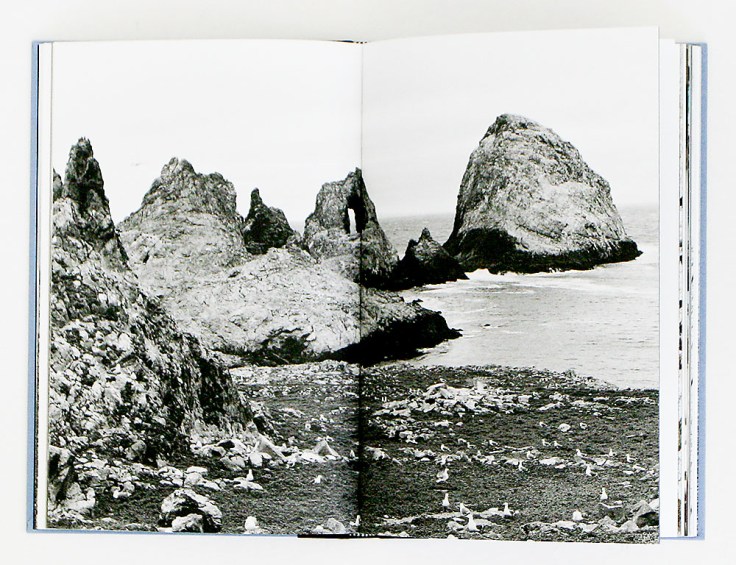 Lukas_Felzmann-Gull-Juju_8