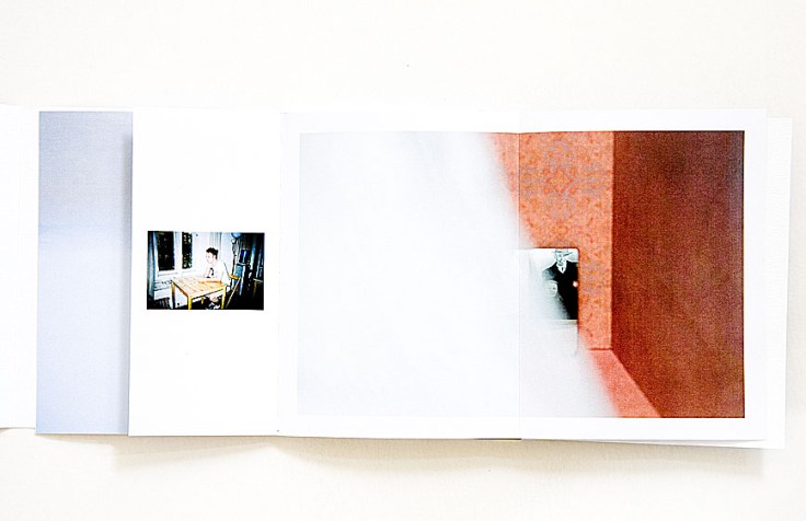 Julia_Borissova-DOM_2