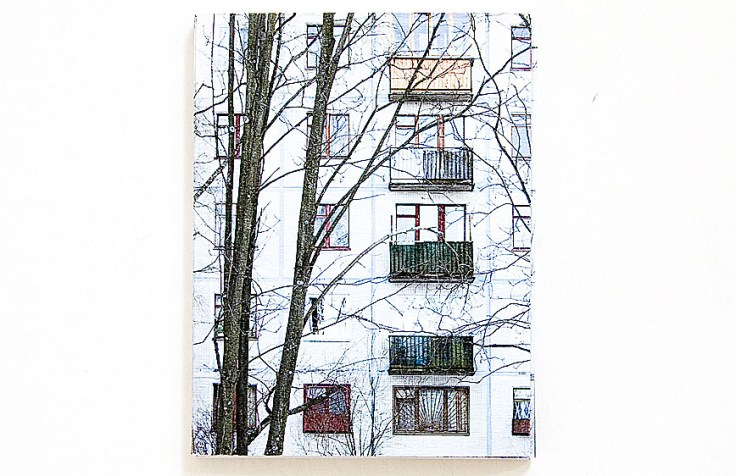 Julia_Borissova-DOM_cover