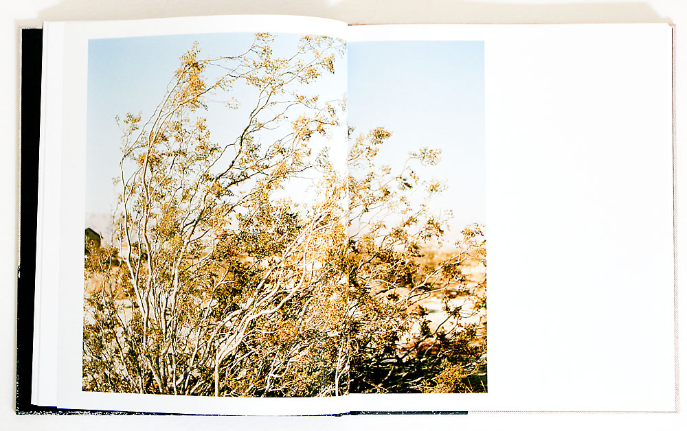 Ron Jude – Lago – PhotoBook Journal