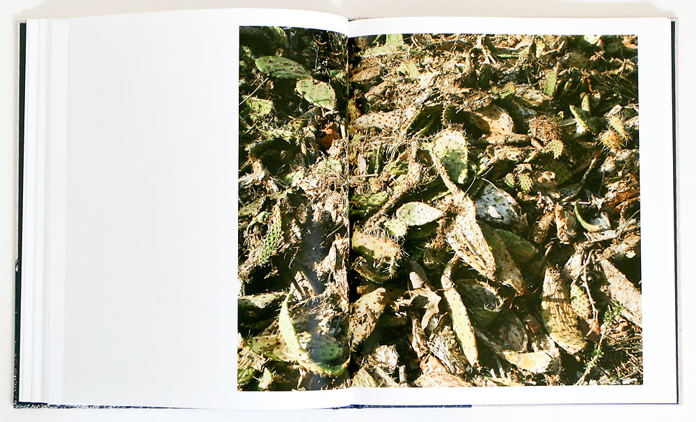 Ron Jude – Lago – PhotoBook Journal
