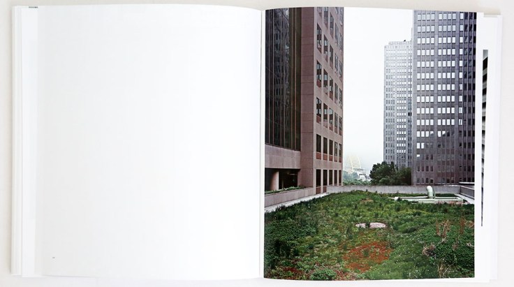 Brad_Temkin_Rooftop_1