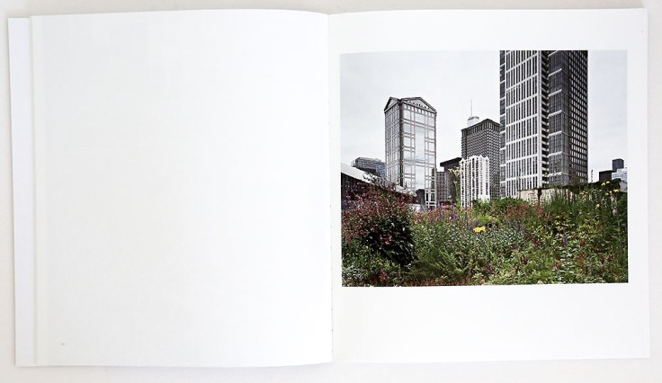 Brad_Temkin_Rooftop_3