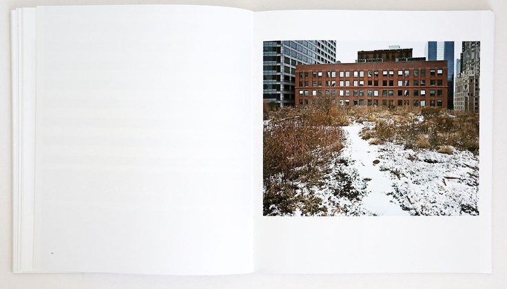 Brad_Temkin_Rooftop_5