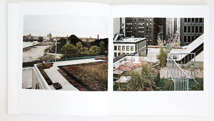 Brad_Temkin_Rooftop_7