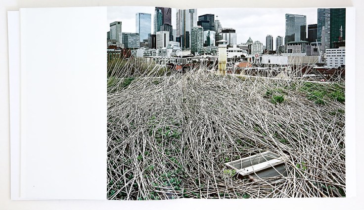 Brad_Temkin_Rooftop_8