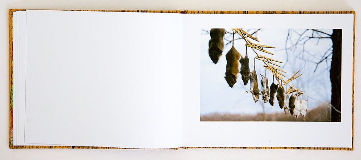 Kurt_Simonson-Northwoods_Journals_8