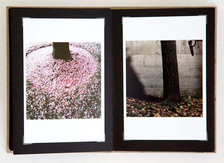 Sara_Terry-Elvis_in_the_Tree_1