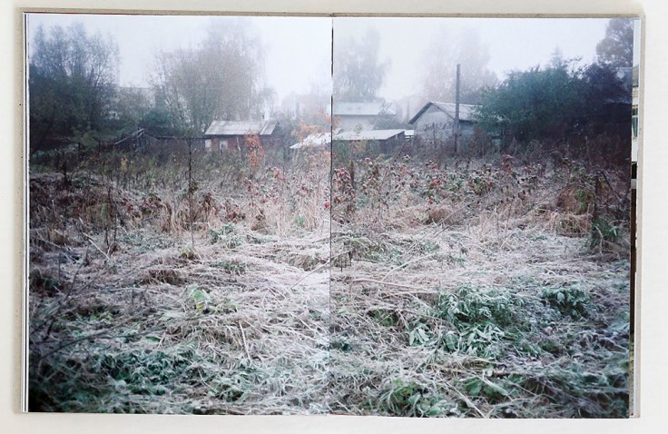 julia_borissova-dimitry_6