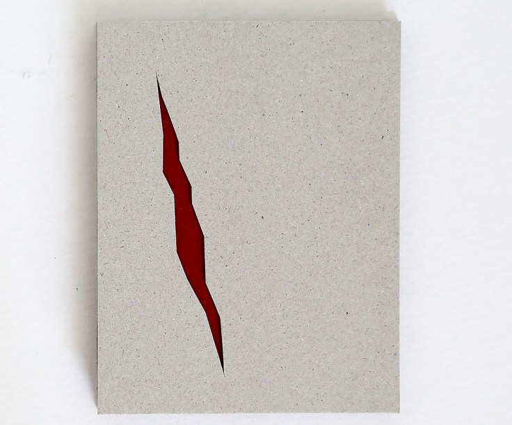 julia_borissova-dimitry_cover