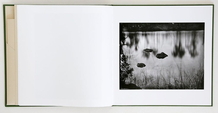 lisa_elmaleh-everglades_1