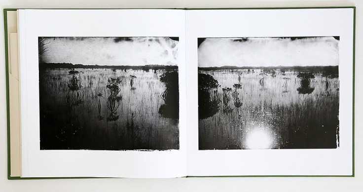 lisa_elmaleh-everglades_3