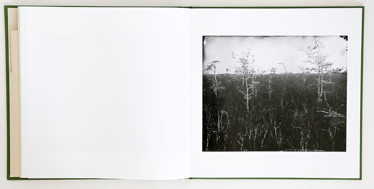 lisa_elmaleh-everglades_4