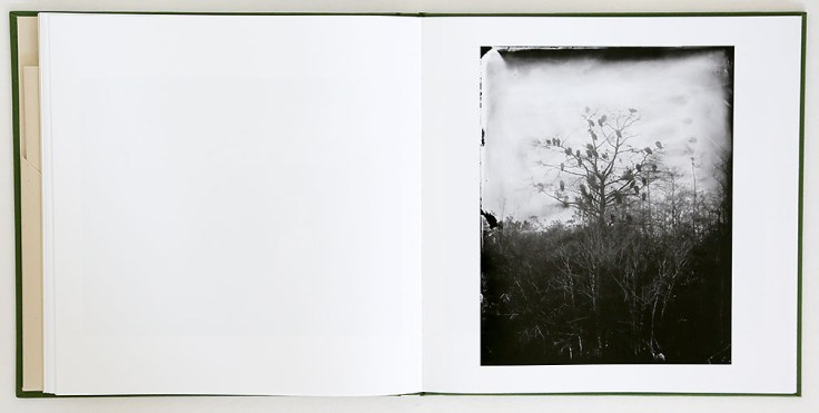 lisa_elmaleh-everglades_5