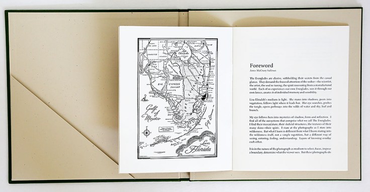 lisa_elmaleh-everglades_introduction