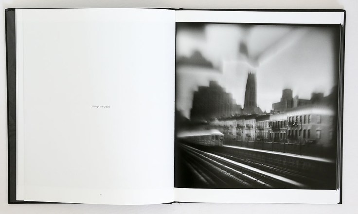 Susan_Burnstine-Absence_of_Being_8