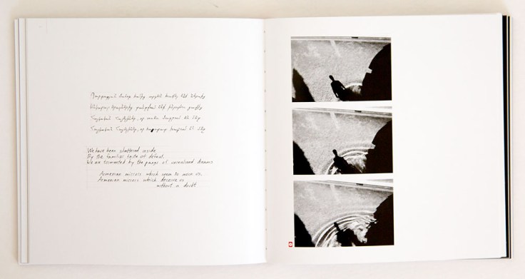 ara_oshagan-mirror_5