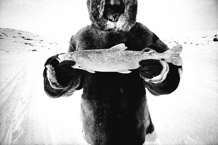 david_carol_no_plan_b_5