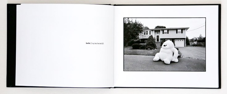 david_carol_no_plan_b_6