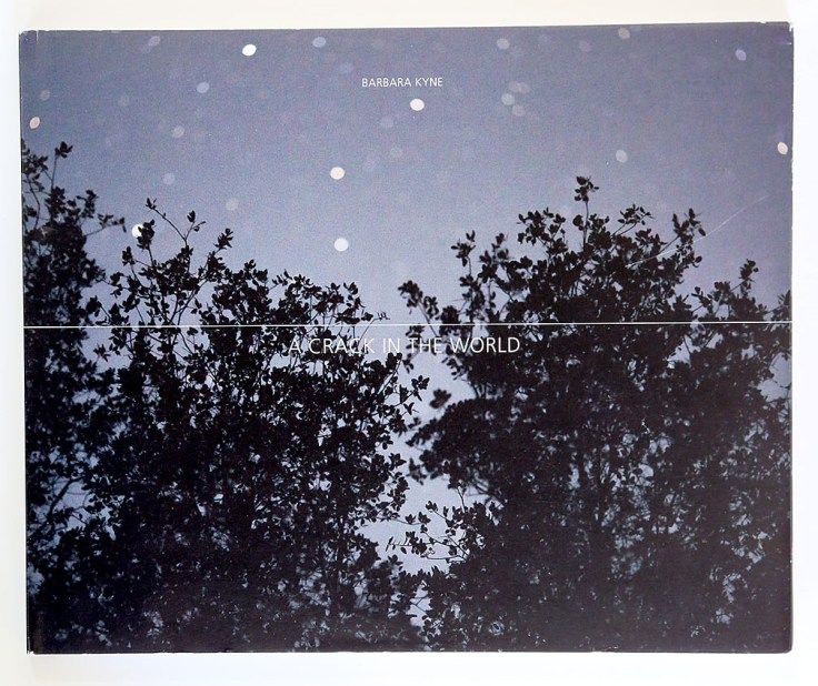 barbara_kyne_a_crack_in_the_world_cover