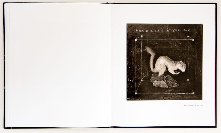 carol_golemboski-psychometry_9