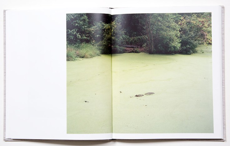 Shane_Lavalette-One_Sun_One_Shadow-7