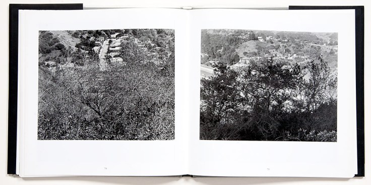 Joe_Deal_Between_Nature_and_Culture