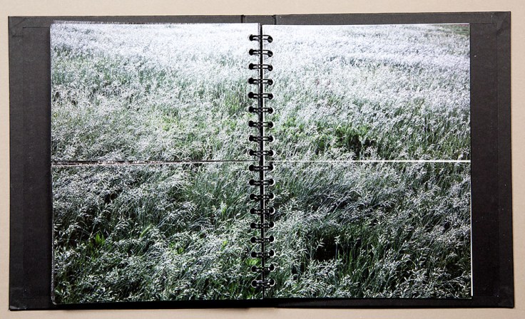 Manca_Juvan-Guardians_of_the_Spoon_8