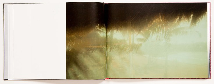 Alice_Hargrave-Paradise_Wavering_1