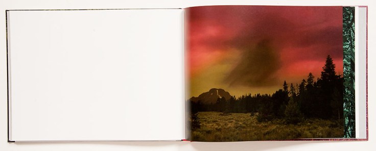 Alice_Hargrave-Paradise_Wavering_2