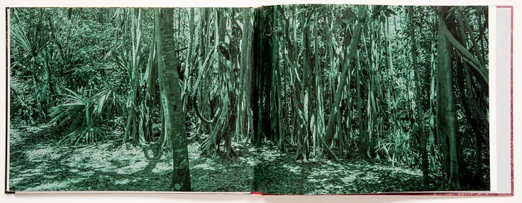 Alice_Hargrave-Paradise_Wavering_3