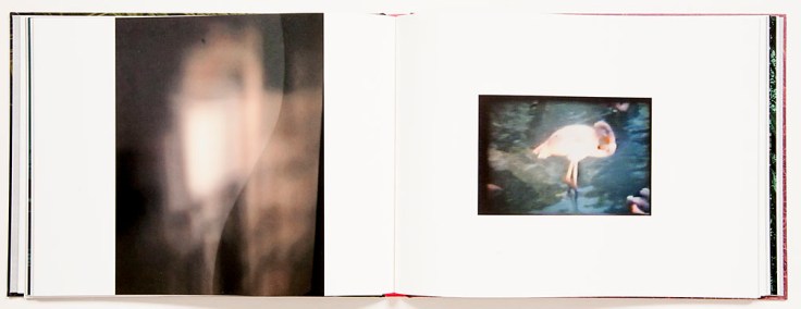 Alice_Hargrave-Paradise_Wavering_4