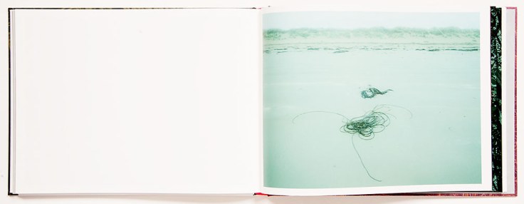 Alice_Hargrave-Paradise_Wavering_5