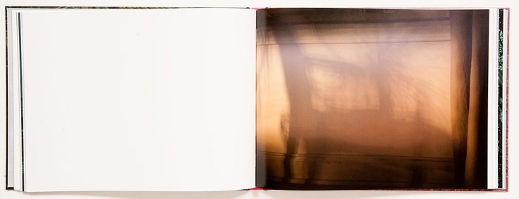 Alice_Hargrave-Paradise_Wavering_6