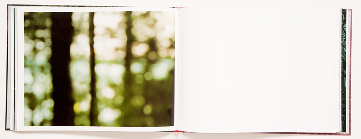 Alice_Hargrave-Paradise_Wavering_8