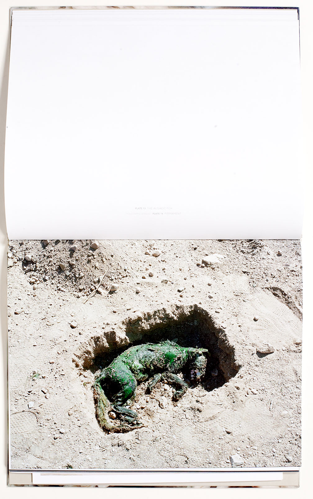 Michael_Lundgren-Matter_2