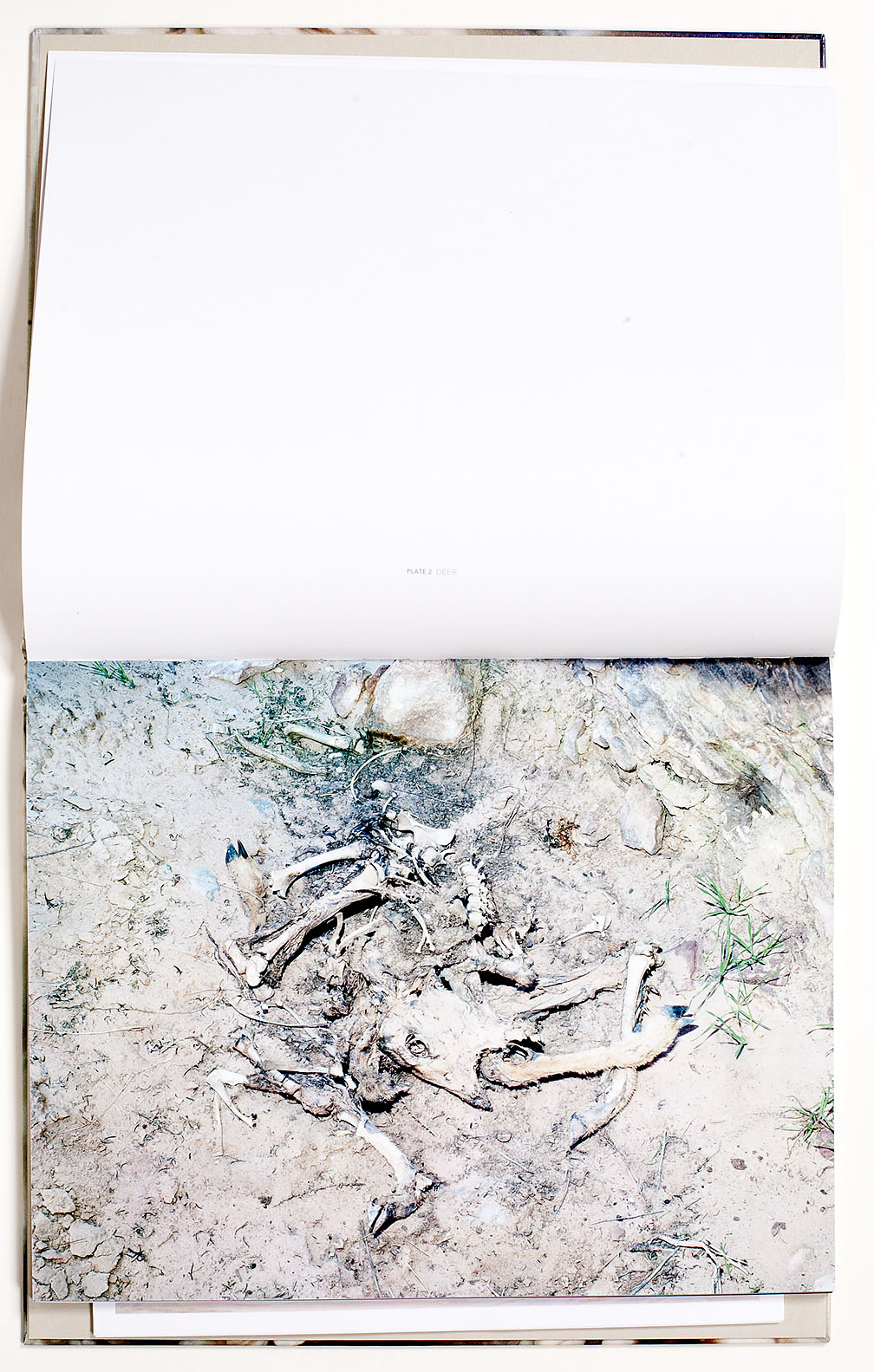 Michael_Lundgren-Matter_6