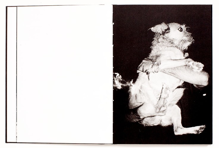 Andrej_Lamut_Nokturno_2