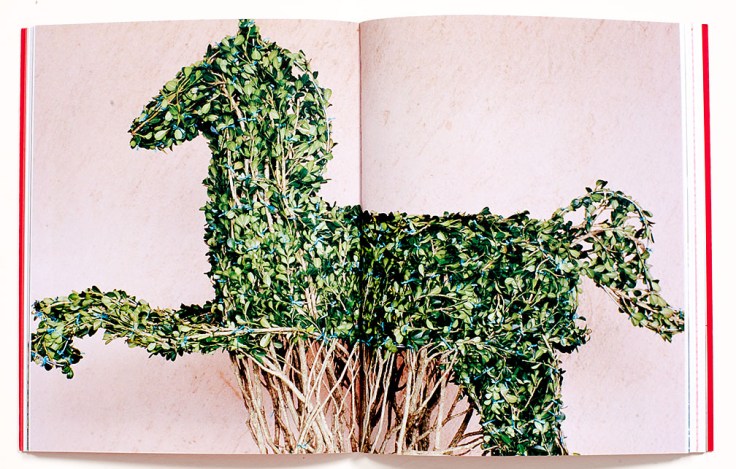 Brenda_Moreno_B-to-B_6