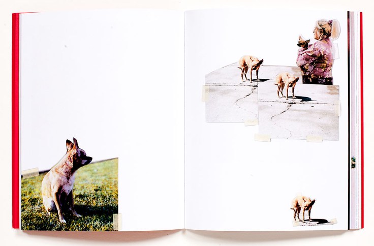 Brenda_Moreno_B-to-B_7