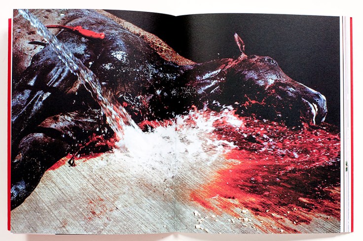 Brenda_Moreno_B-to-B_8