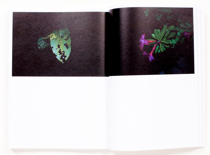 Chris_Mottalini-Land_of_Smiles_10