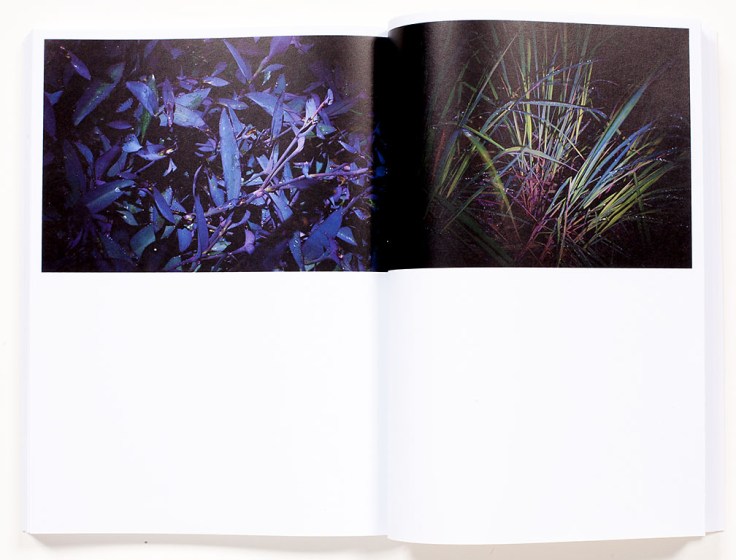 Chris_Mottalini-Land_of_Smiles_11