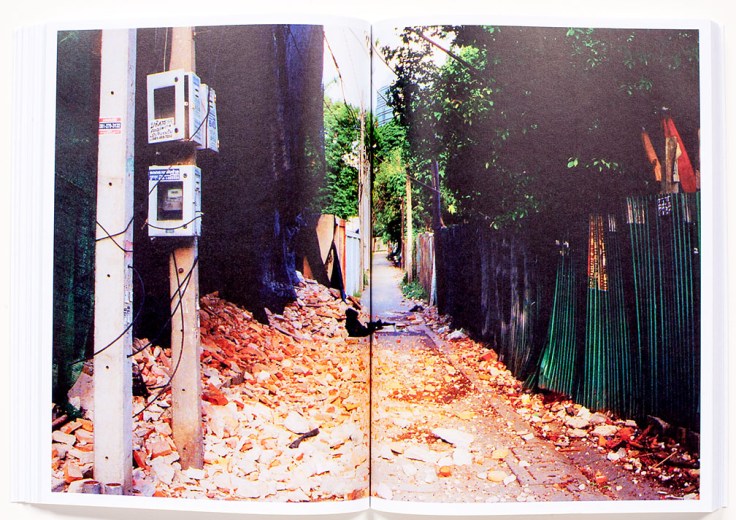 Chris_Mottalini-Land_of_Smiles_8