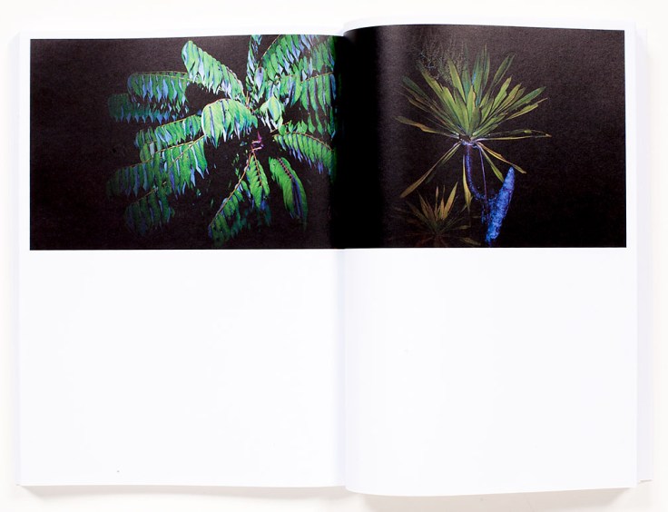 Chris_Mottalini-Land_of_Smiles_9