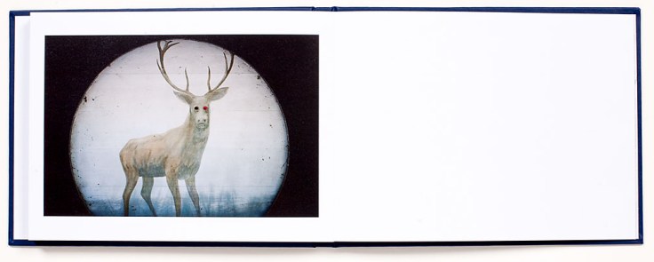 Tymon_Markowski-Flow_9